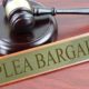 What are the rules for Plea Bargains in New Jersey